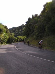 Auckland Half Ironman